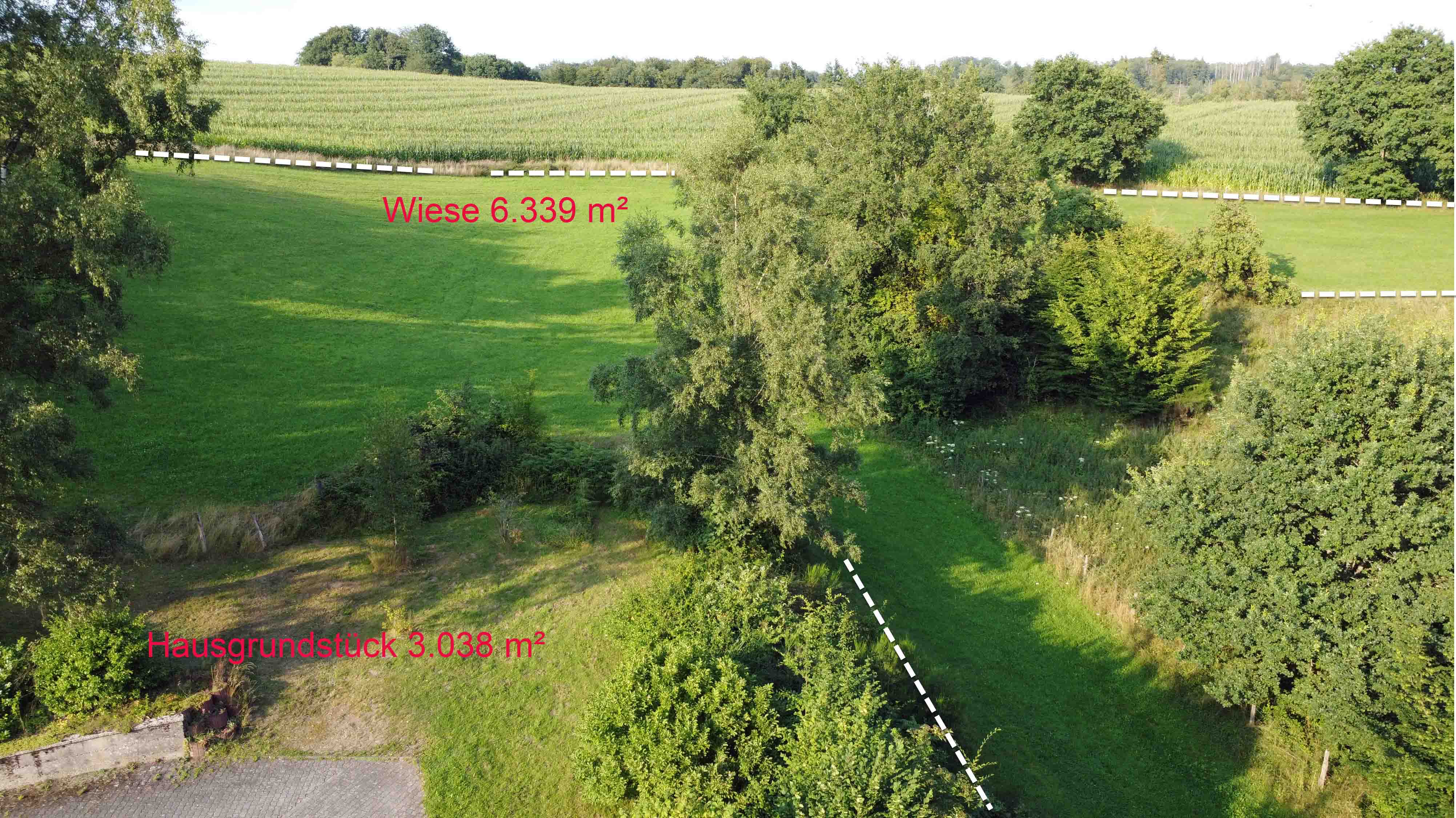 Morsbach-Springe: Landhaus auf 9.377 m² Wiesengrundstück, Blick hinter das Haus und angrenzende Wiese