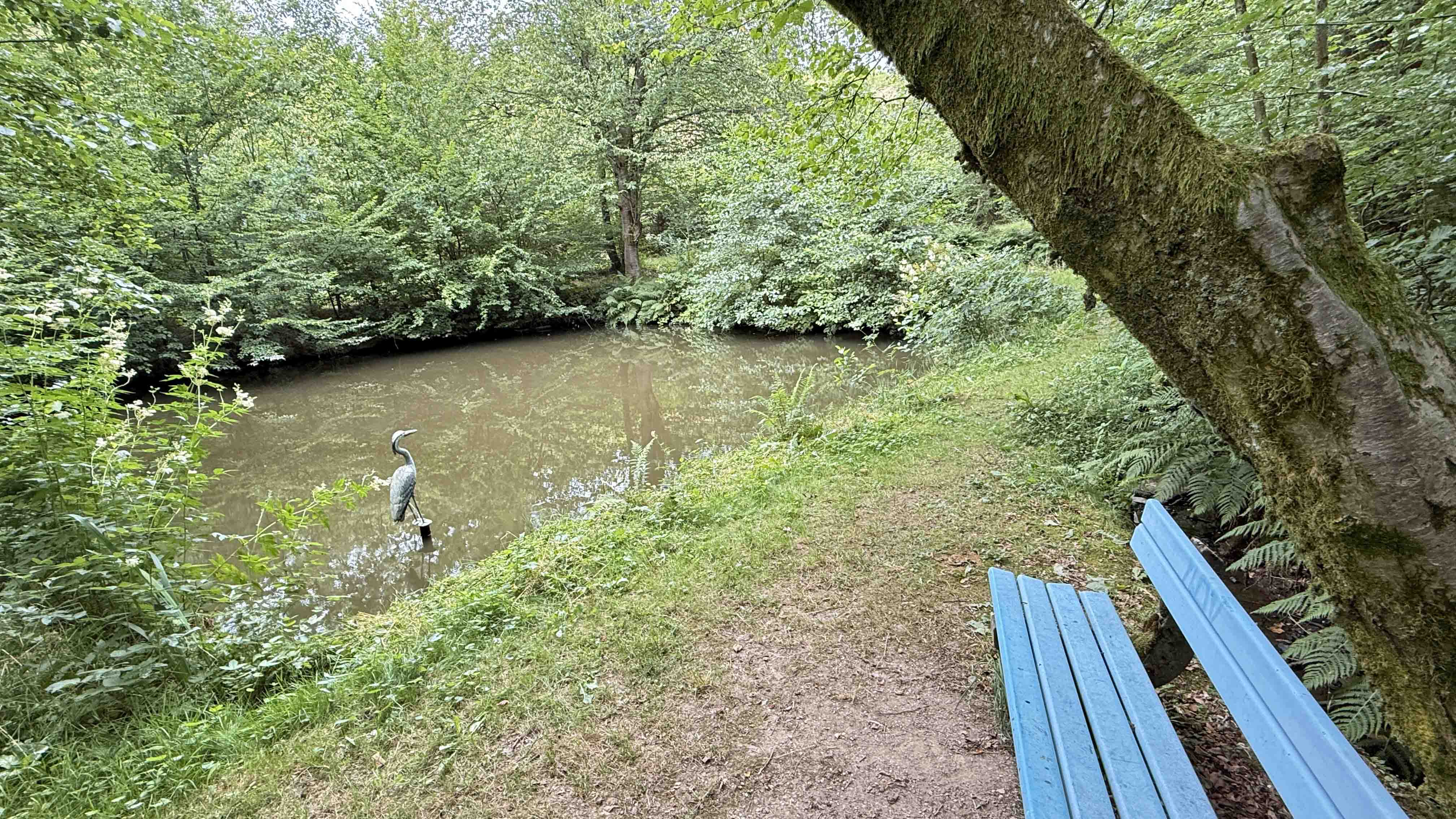 Reichshof-Sterzenbach: Ein- bis Zweifamilienhaus mit zwei Fischteichen, zwei (leere) Fischteiche als Ruhe-Oase