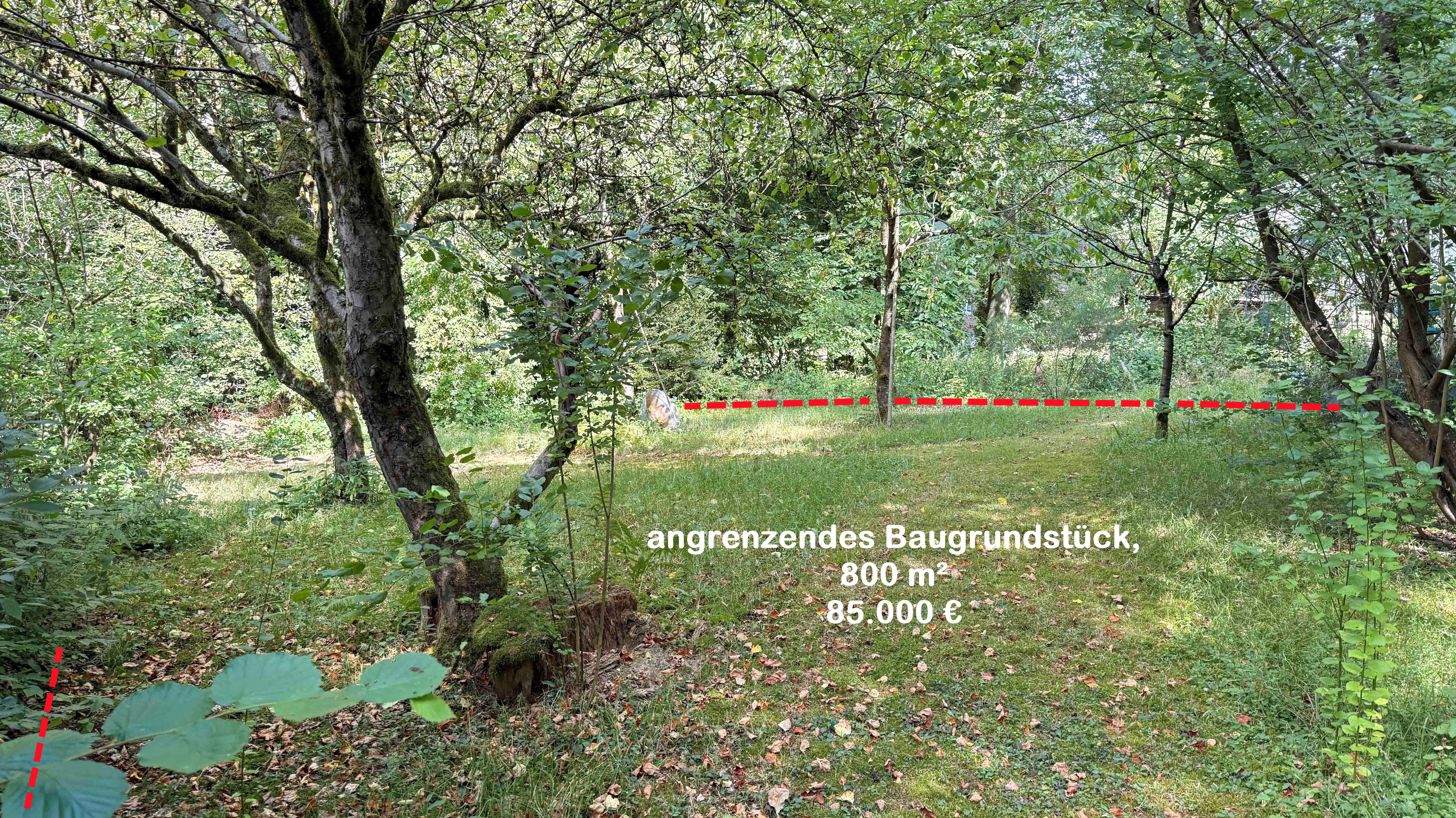 Reichshof-Sterzenbach: Ein- bis Zweifamilienhaus mit zwei Fischteichen, Optional: angrenzendes Baugrundstück; 85.000 €  