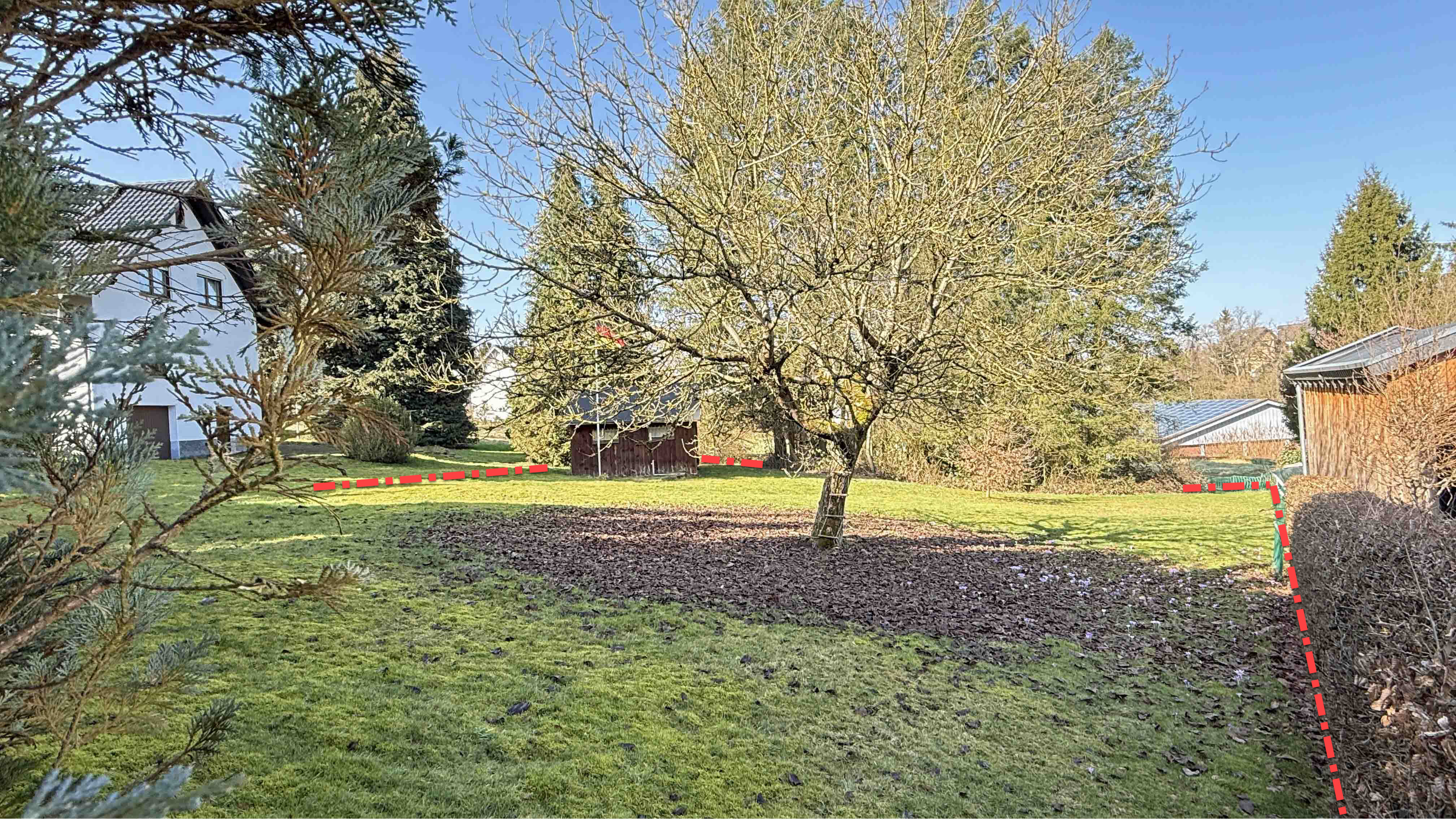 Reichshof-Wildbergerhütte: Auch ohne Keller zu bebauen, ca. 945 m² ebenes Bauland - jetzt Garten mit Nußbaum